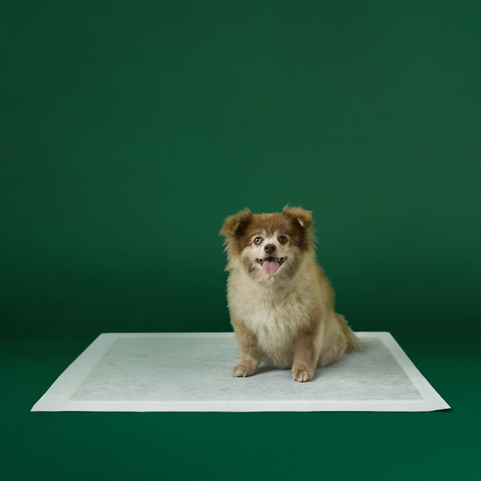 EARTH RATED DOG - Puppy Pee Pads - Large 22x23