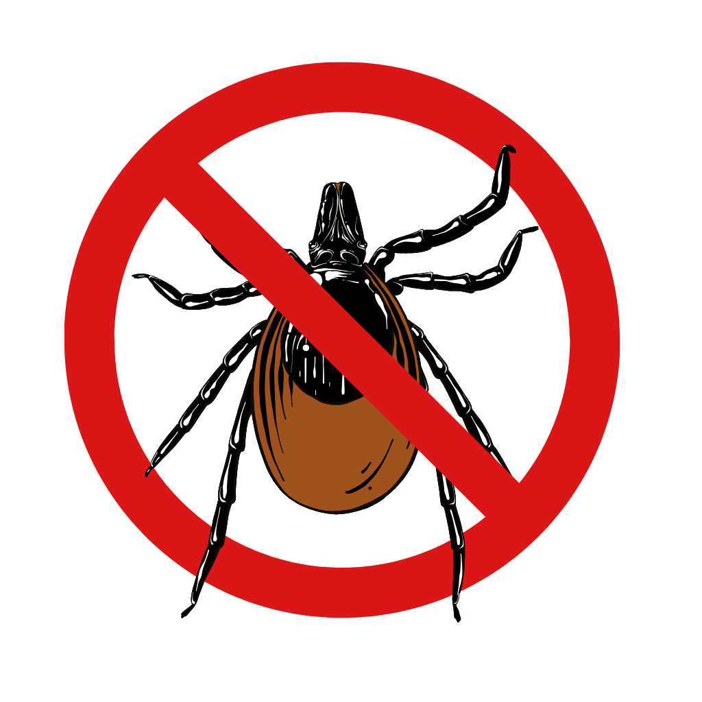 Flea & Tick