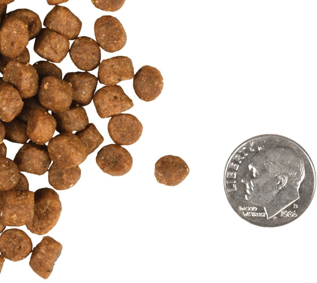 FROMM Kitten - Gold Dry Food