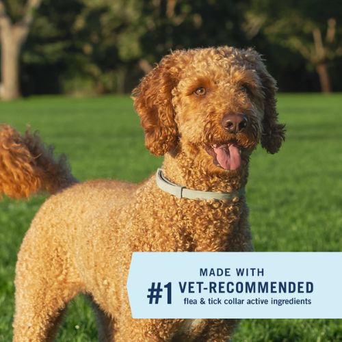 PET ARMOR Dog - Extend Flea & Tick Collar