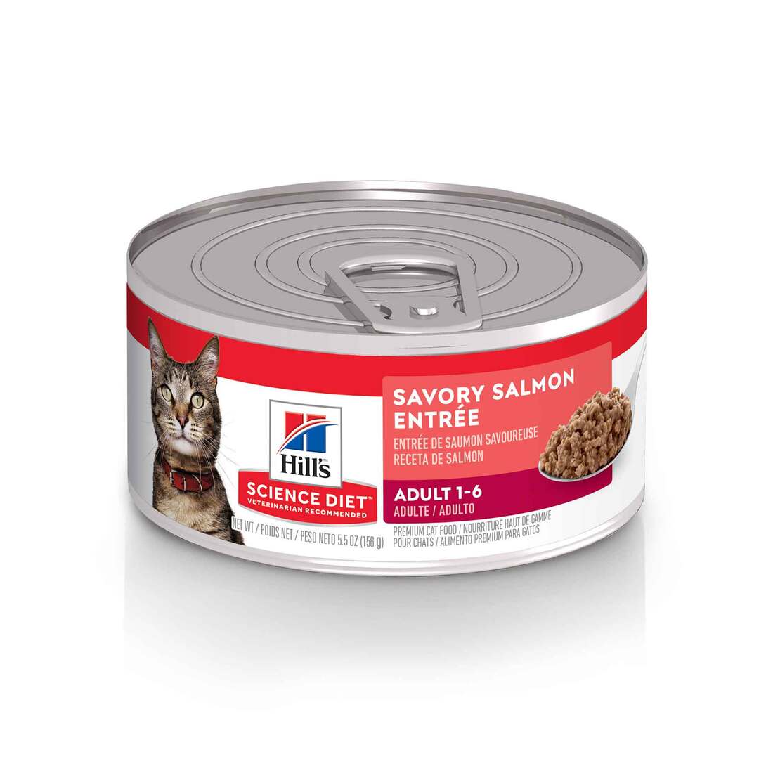 HILLS SCIENCE DIET Cat - Salmon Entree Kitten Canned Food