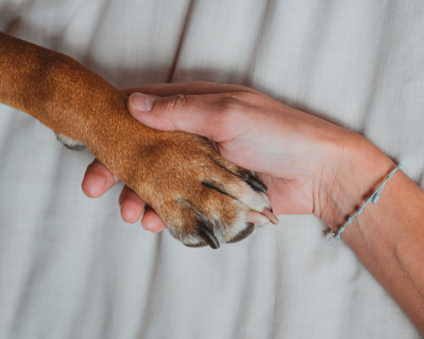 Built Around Humane Practices