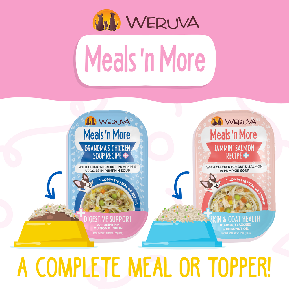 Meals 'n More Grandma's Chicken Soup with Chicken Breast & Veggies in Pumpkin Soup Wet Dog Food 3.5 Oz.