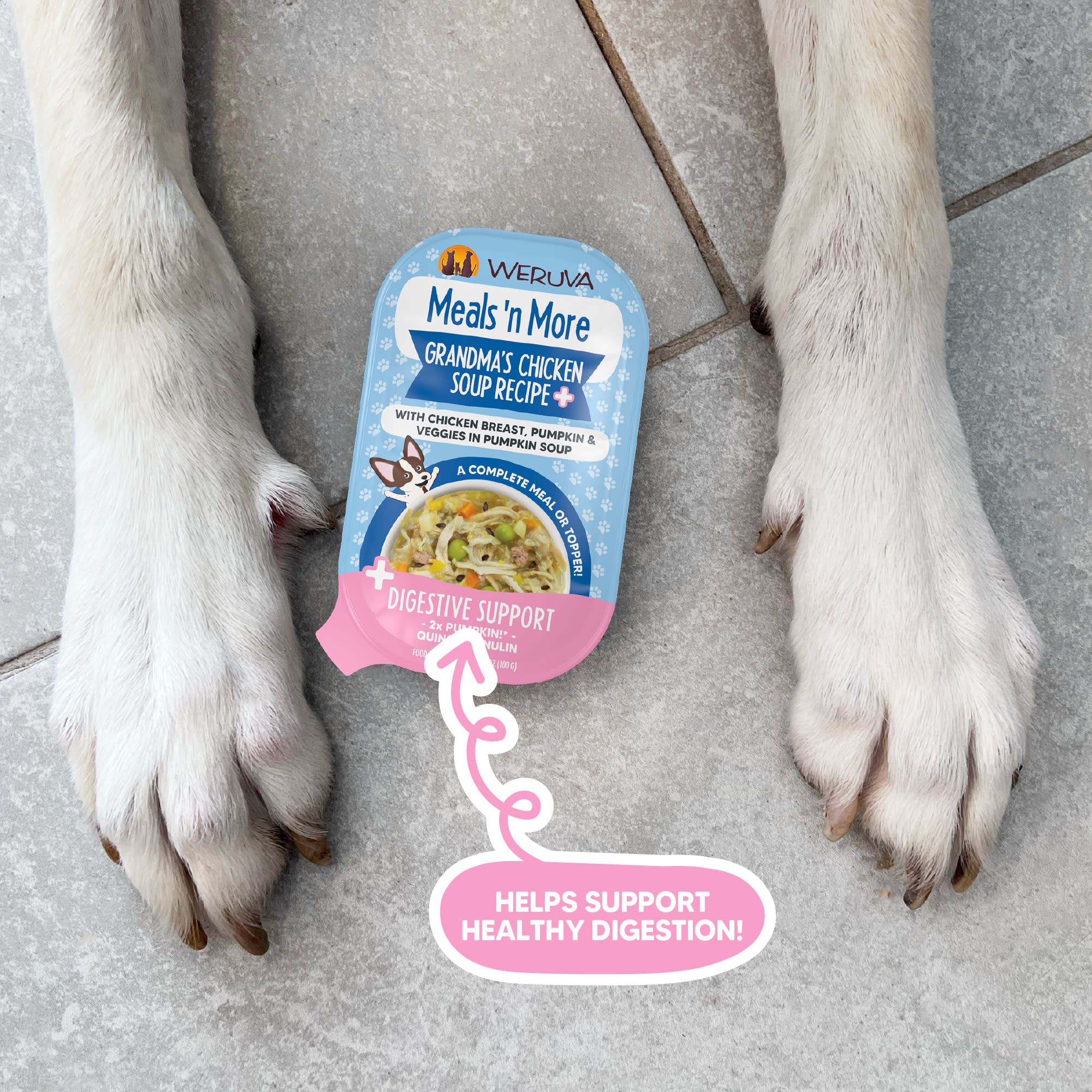 Meals 'n More Grandma's Chicken Soup with Chicken Breast & Veggies in Pumpkin Soup Wet Dog Food 3.5 Oz.