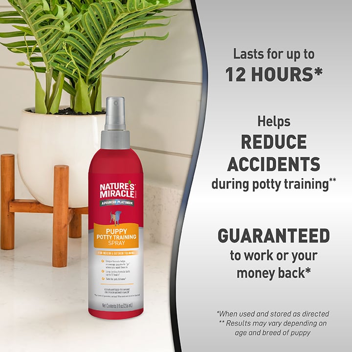 Natures Miracle Advanced Platinum Puppy Potty Training Spray  8 Oz