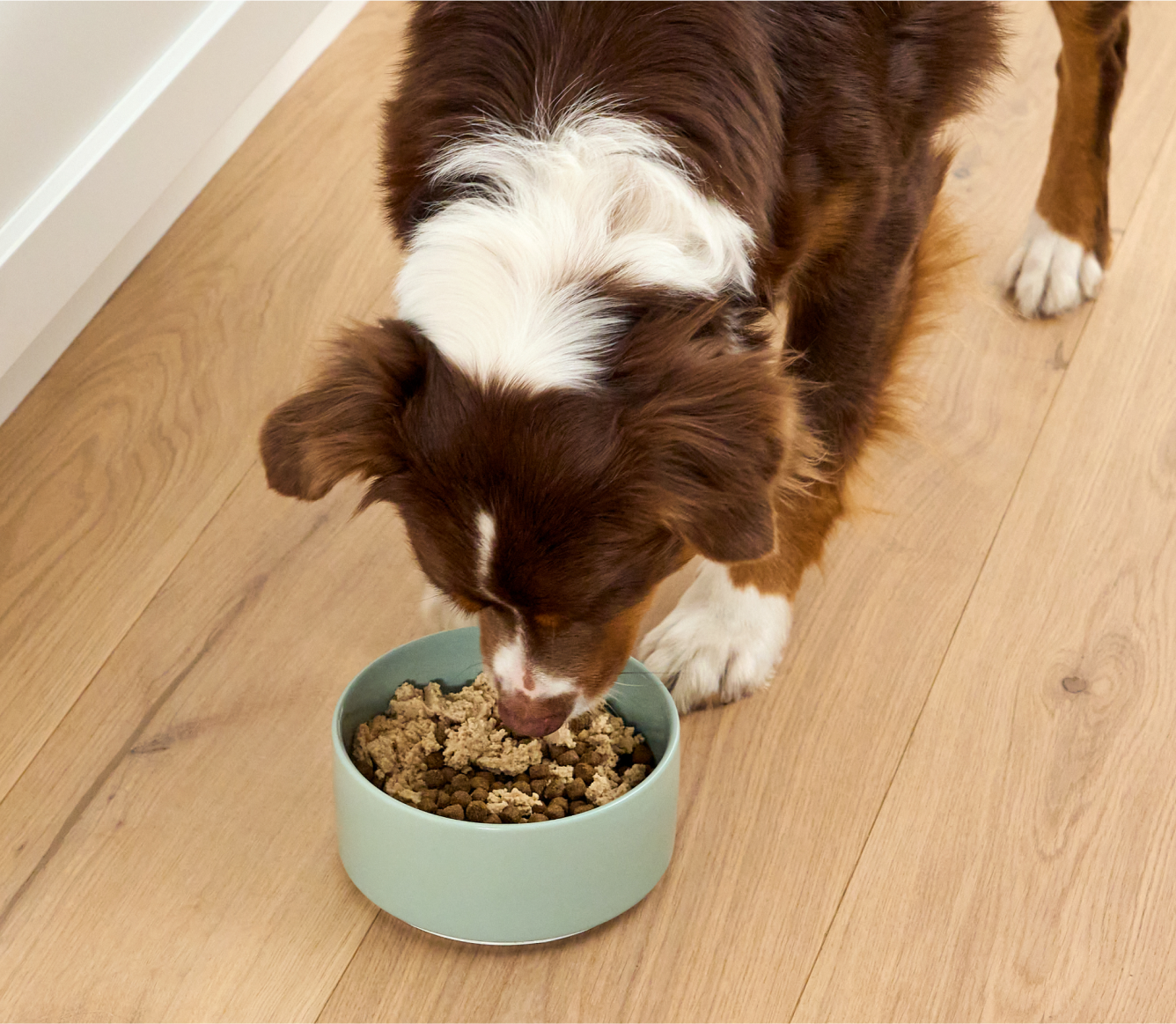 OPEN FARM Dog - Arctic Char Grain-Free Topper 4.59 oz