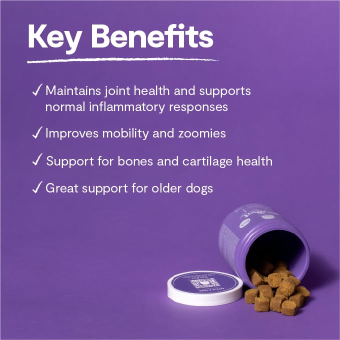 OPEN FARM DOG - Hip & Joint Health Supplement Chews