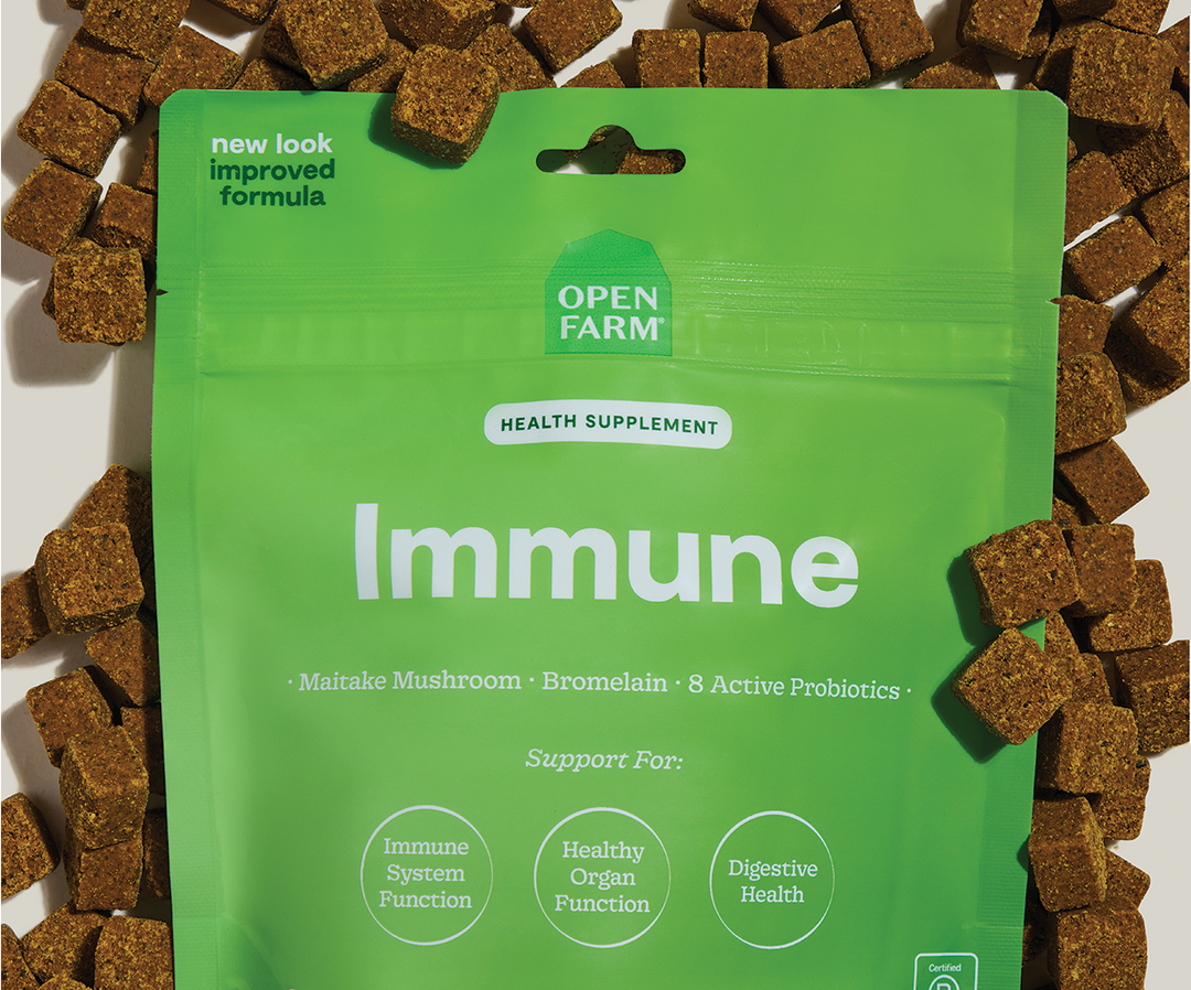 OPEN FARM DOG - Immune Health Supplement Chews