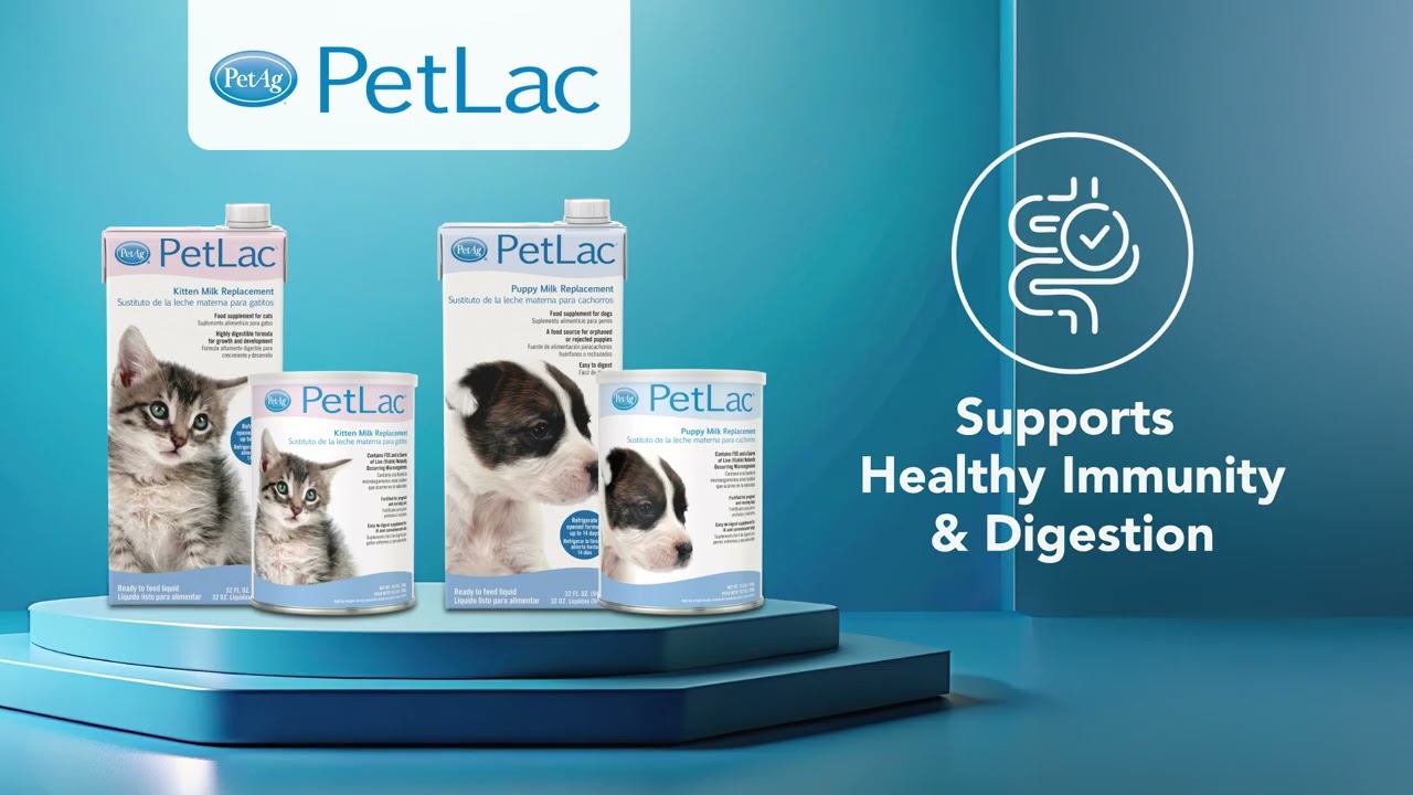 Petlac Kitten Milk Replacement Powder 10.5oz