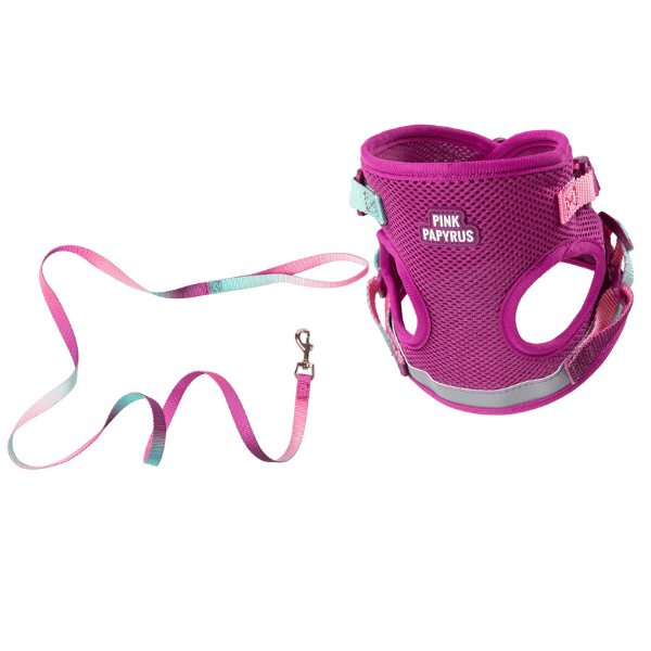PINK PAPYRUS Cat - Adjustable Harness & Leash Set