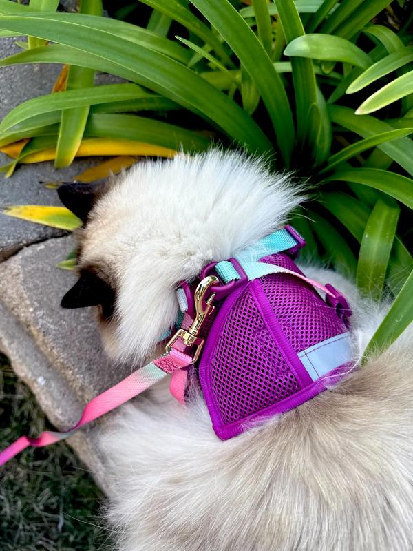PINK PAPYRUS Cat - Adjustable Harness & Leash Set