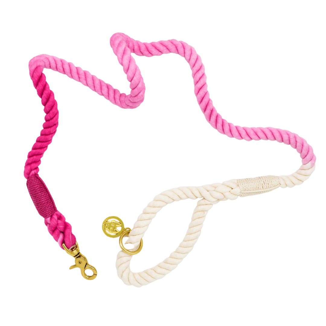Pink Papyrus Rope Leash