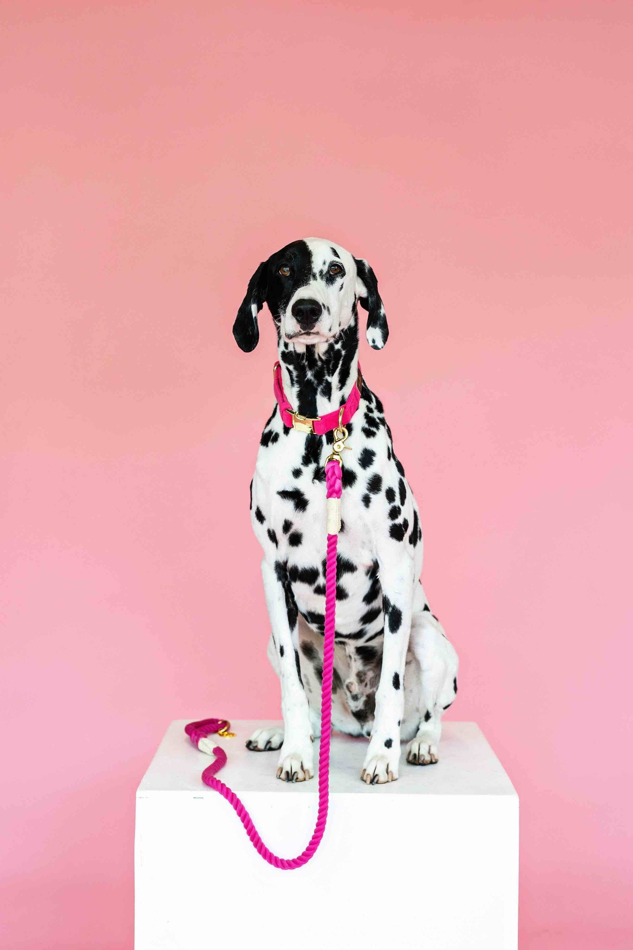 Pink Papyrus Rope Leash