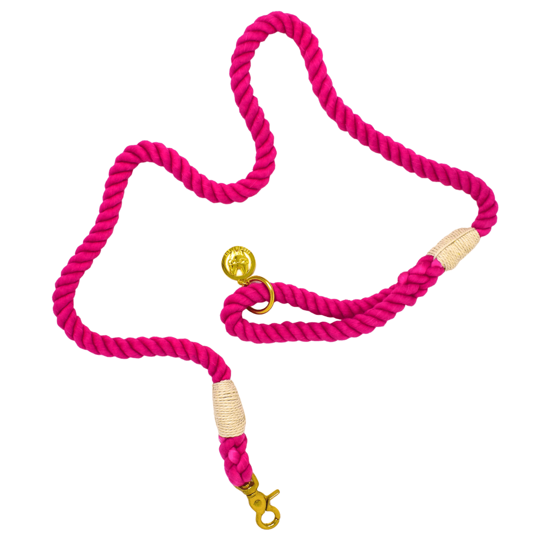 Pink Papyrus Rope Leash