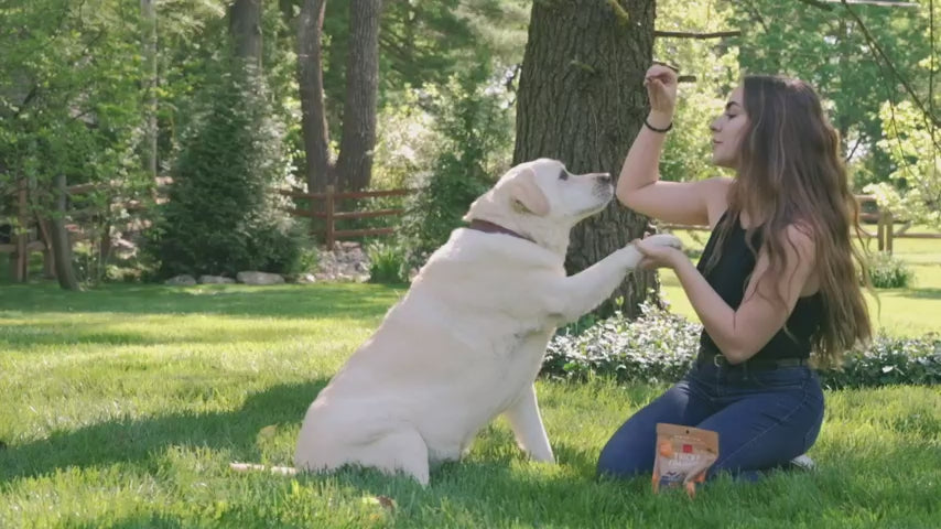 Load video: CLOUDSTAR Dog - Tricky Trainers Mini Liver 5 oz