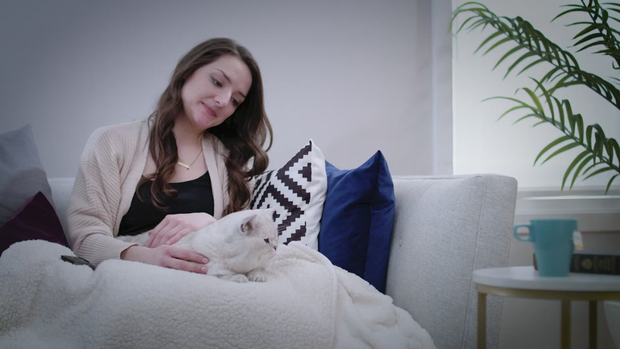 Load video: FUSSIE CAT - Chicken with Pumpkin Entree Fine Dining Mousse
