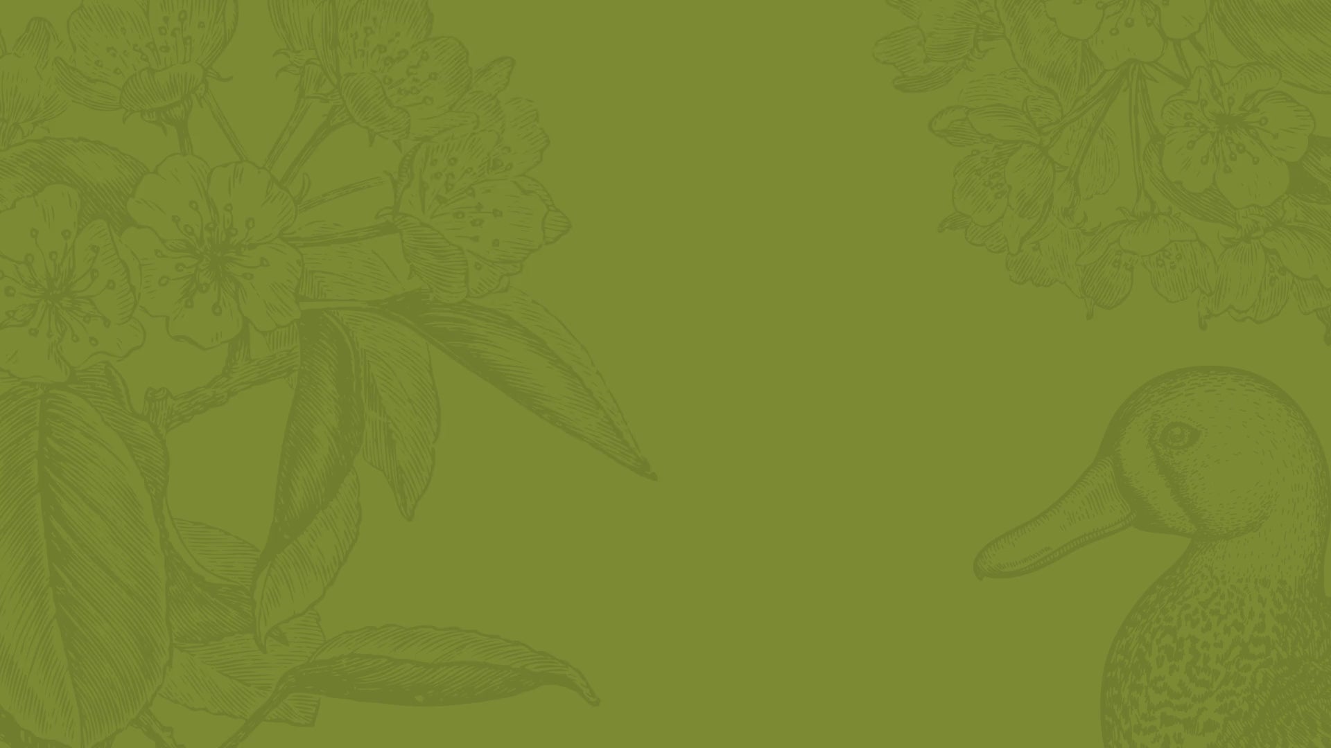 Load video: ACANA Dog - Singles Duck &amp; Pear Freeze-Dried Treat