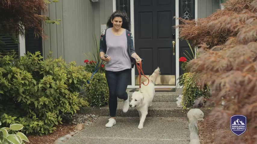 Load video: HIMALAYAN Dog - Plain Yogurt Sticks 4.8 oz