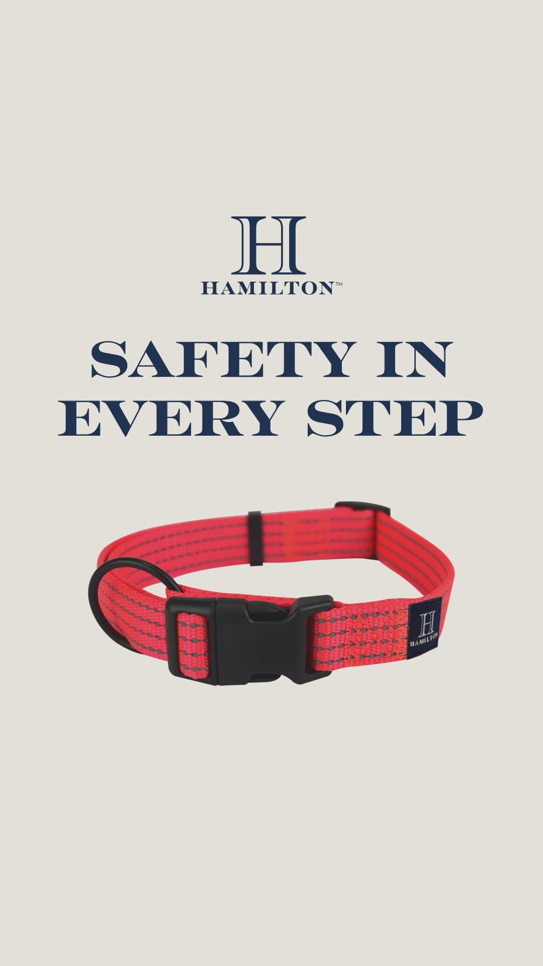 Load video: HAMILTON Dog Collars