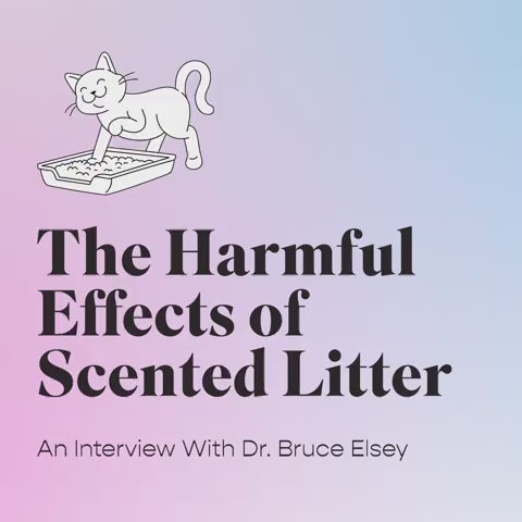Load video: DR ELSEY'S Cat - Paw Sensitive Clay Litter 20 lb