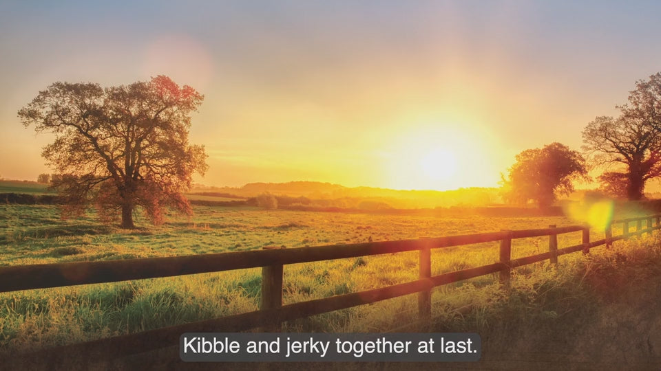 Load video: ACANA Dog - Butcher's Favorite Wild-Caught Salmon Recipe Grain-Free Dry Food