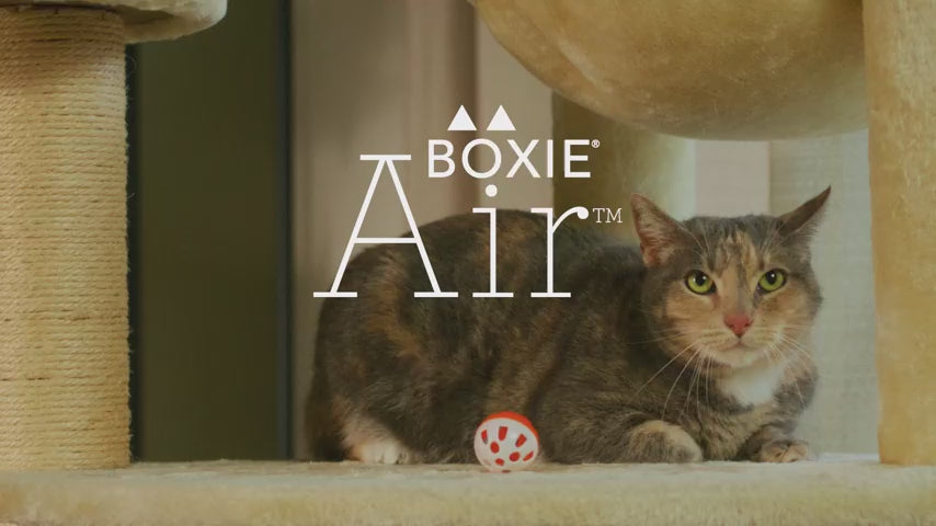 Load video: BOXIE Cat - Air Lightweight Extra Strength Litter