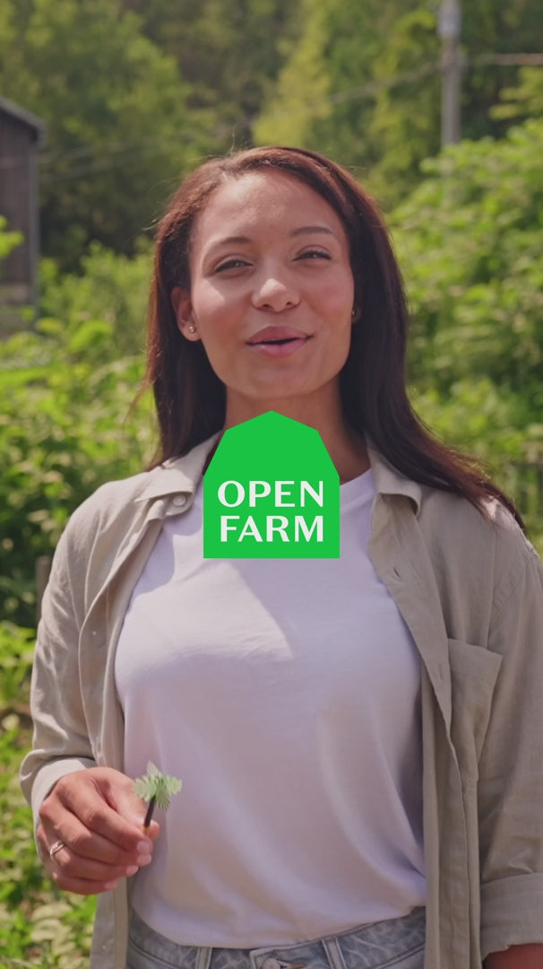 Load video: OPEN FARM Dog - Chicken Be Good Bites Training Treats 6 oz