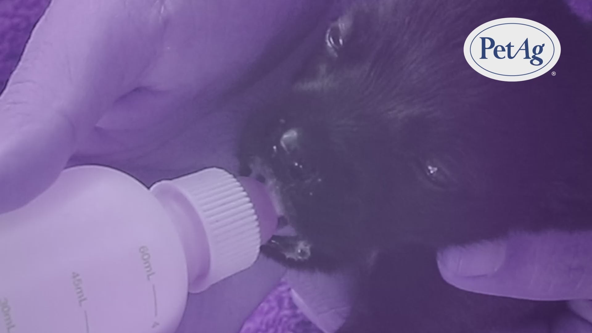 Load video: ESBILAC Puppy - Milk Replacer Powder 12 oz