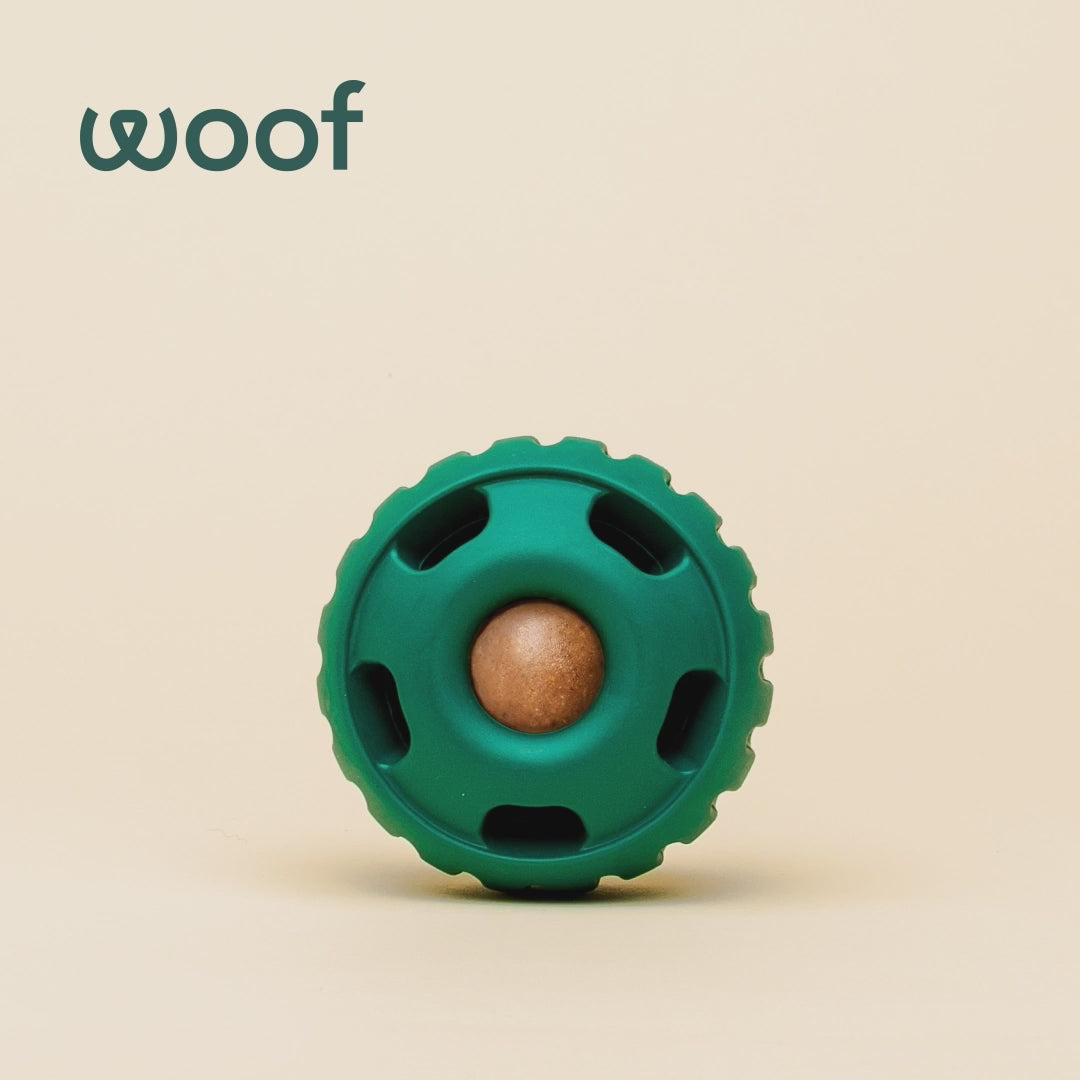 Load video: WOOF Dog - Pupsicle Buddy Blue Small