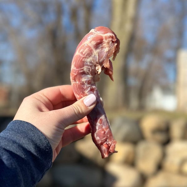 RAWR Dog - Frozen Duck Neck