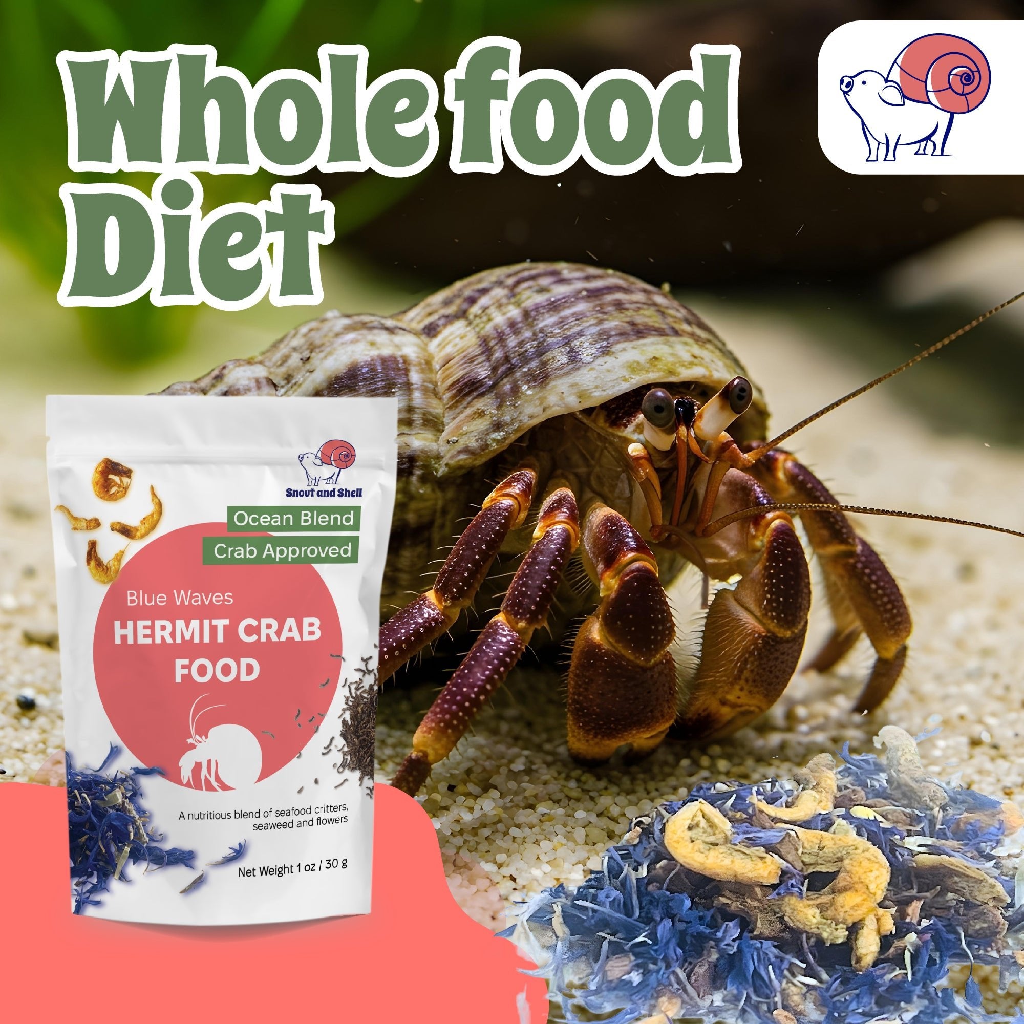 Snout and Shell Hermit Crab Food - Blue Waves