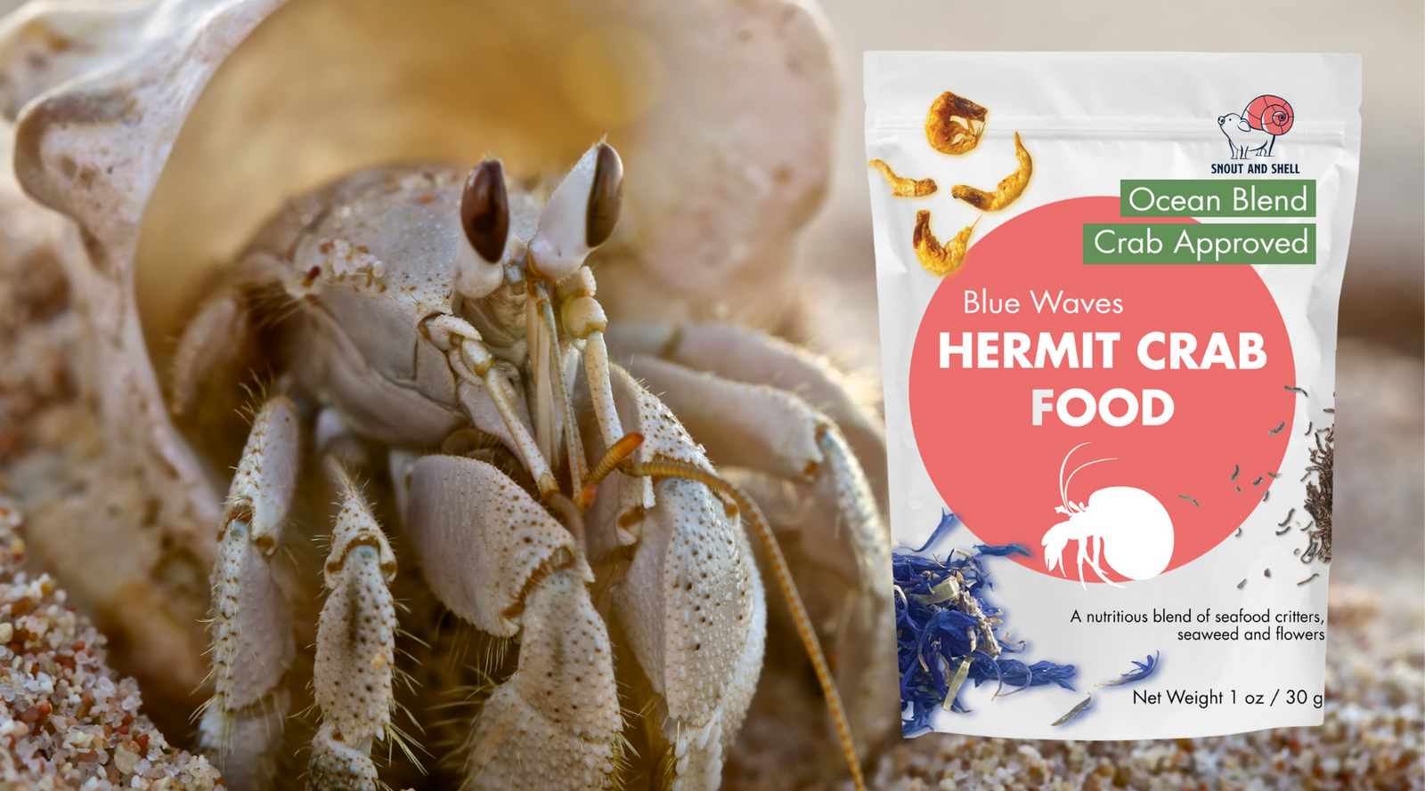 Snout and Shell Hermit Crab Food - Blue Waves