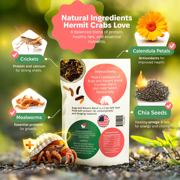 Snout and Shell Hermit Crab Food - Bugs and Bloom