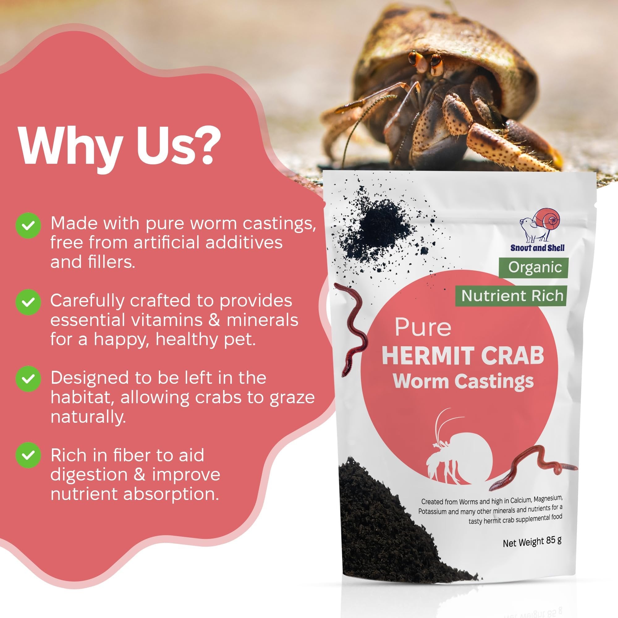 Snout and Shell Hermit Crab Supplement - Greensand