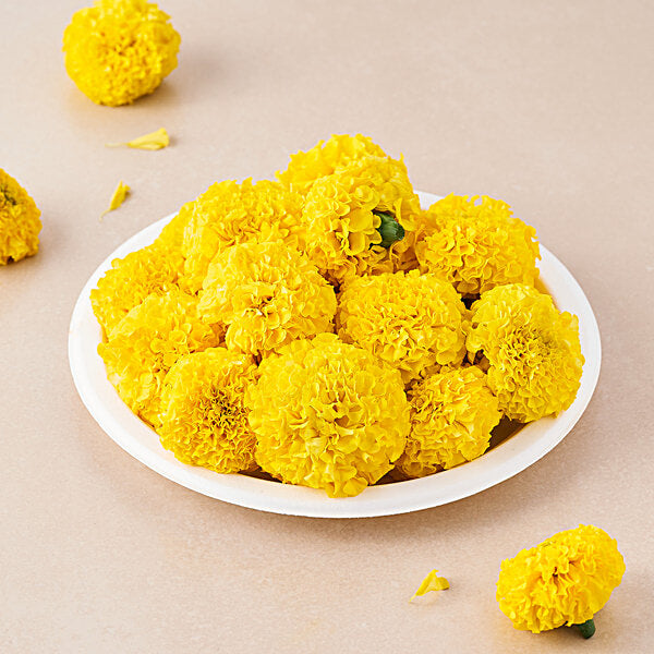 Snout and Shell Pellet Topper - Marigold Flower treat