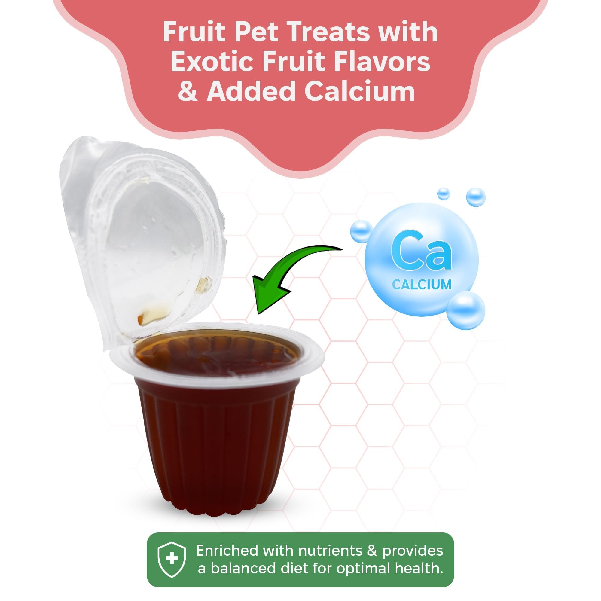Snout and Shell Pet jelly