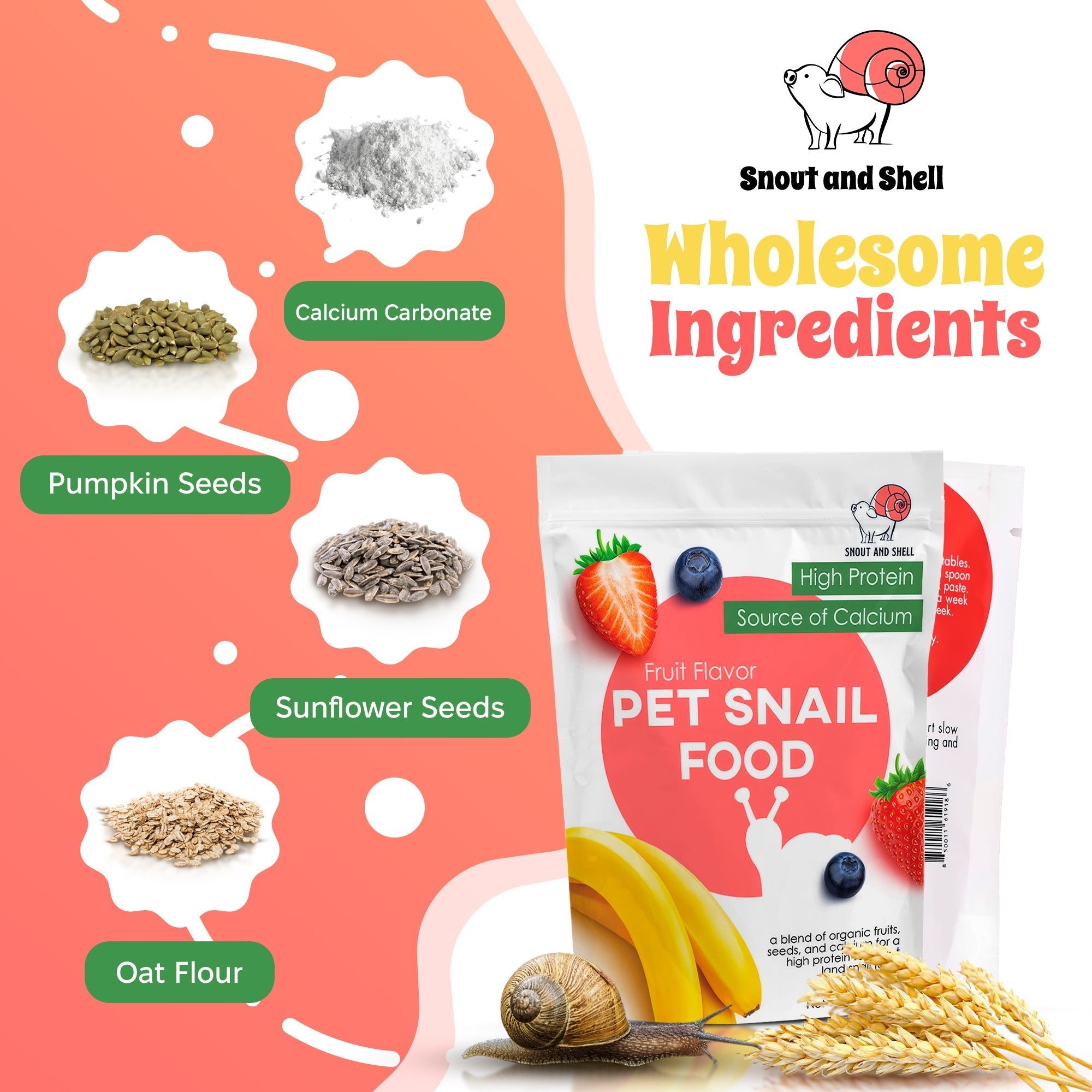 Snout and Shell Snail Food - Fruit Flavor