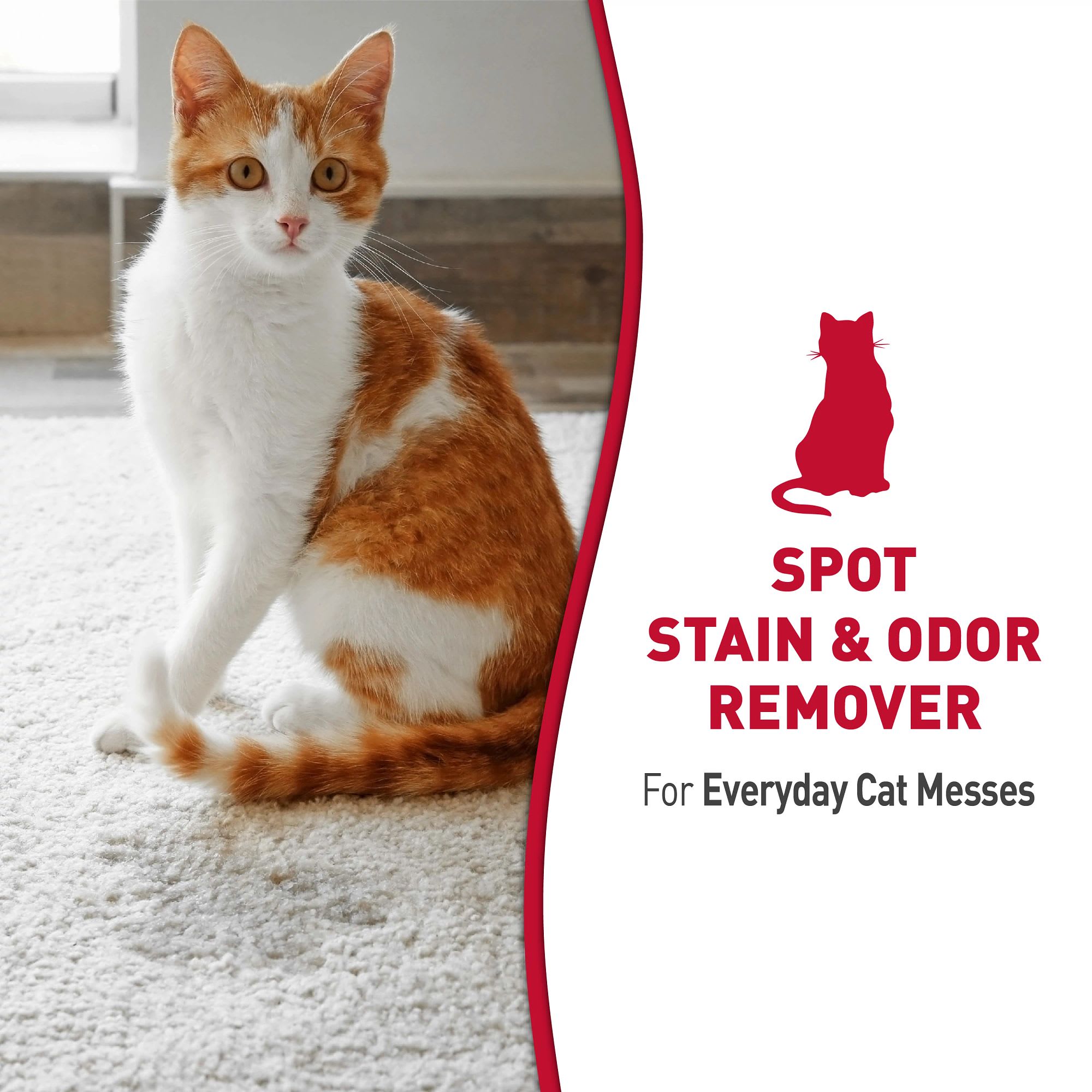 Stain & Odor Remover for Cats 128 Fl Oz Citrus Scent, 128 FZ
