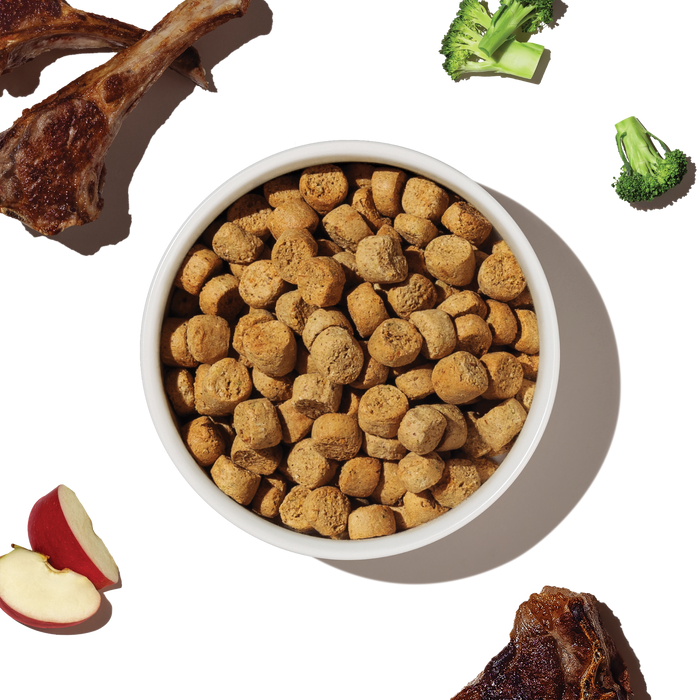 THE HONEST KITCHEN Dog - Grain Free Lamb Whole Food Clusters Kibble 4 lb