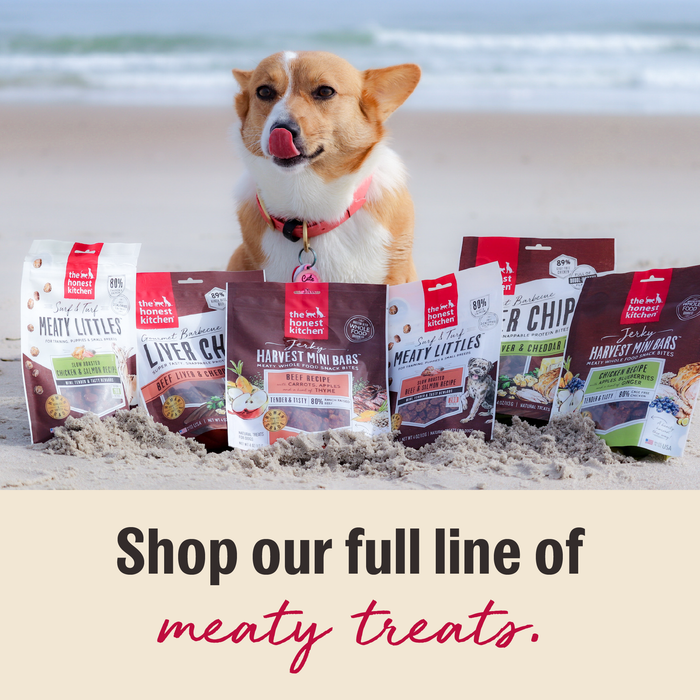 THE HONEST KITCHEN Dog - Lamb & Salmon Puppy Meaty Littles Treats 4 oz