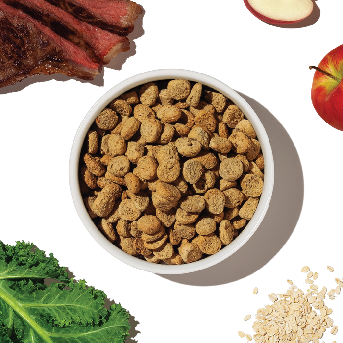 THE HONEST KITCHEN Dog - Whole Grain Beef & Oat Whole Food Clusters Kibble 5 lb