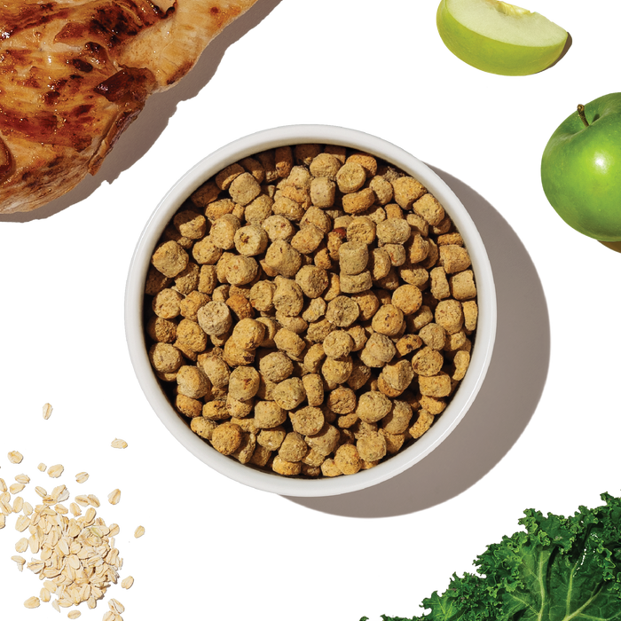 THE HONEST KITCHEN Dog - Whole Grain Chicken Whole Food Clusters Kibble for Small Breed 4 lb