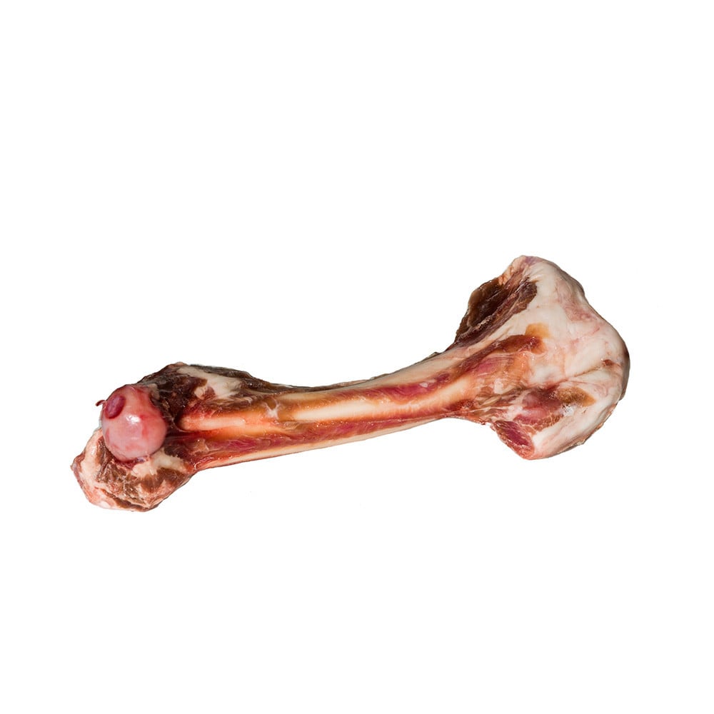 TUCKER'S Dog - Frozen Lamb Bone Femur