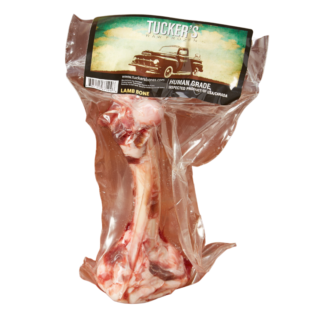 TUCKER'S Dog - Frozen Lamb Bone Femur