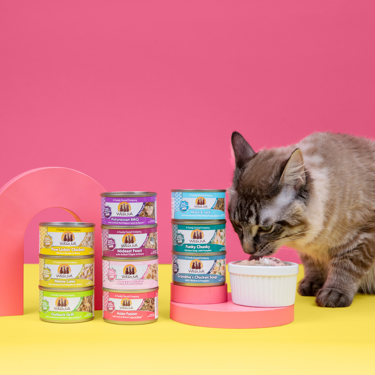 WERUVA CAT PAW LICKIN' CHICKEN 5.5OZ