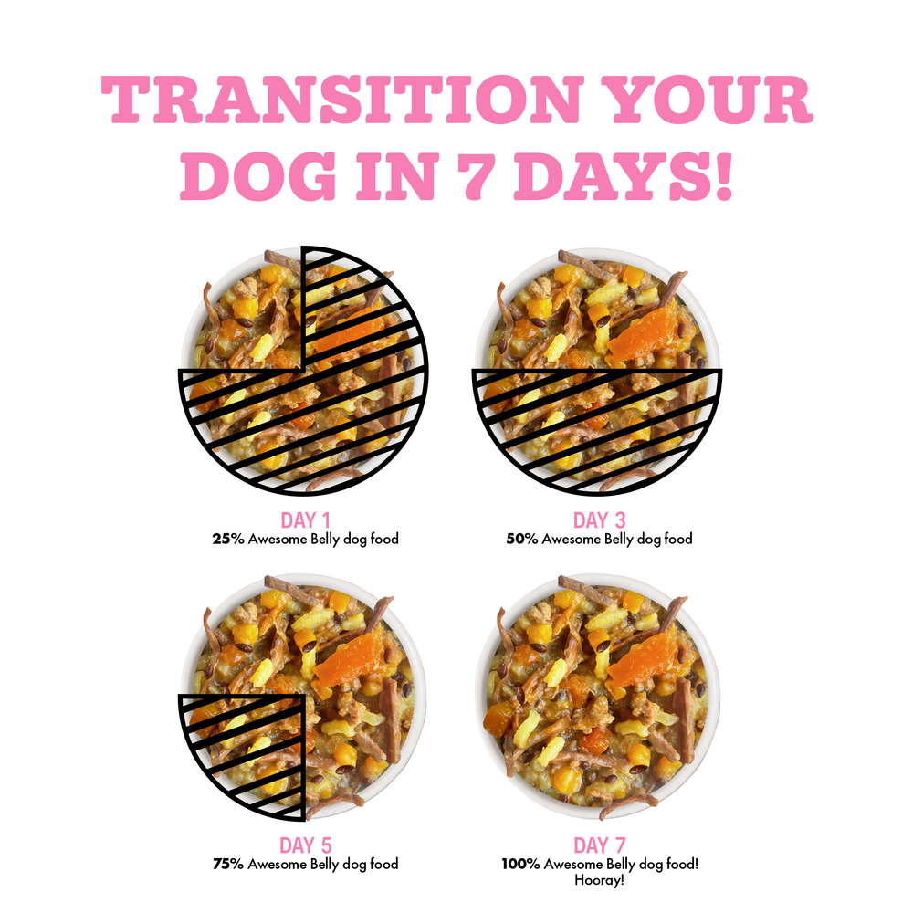 WERUVA DOG BELLY BEEF & RICE 6OZ