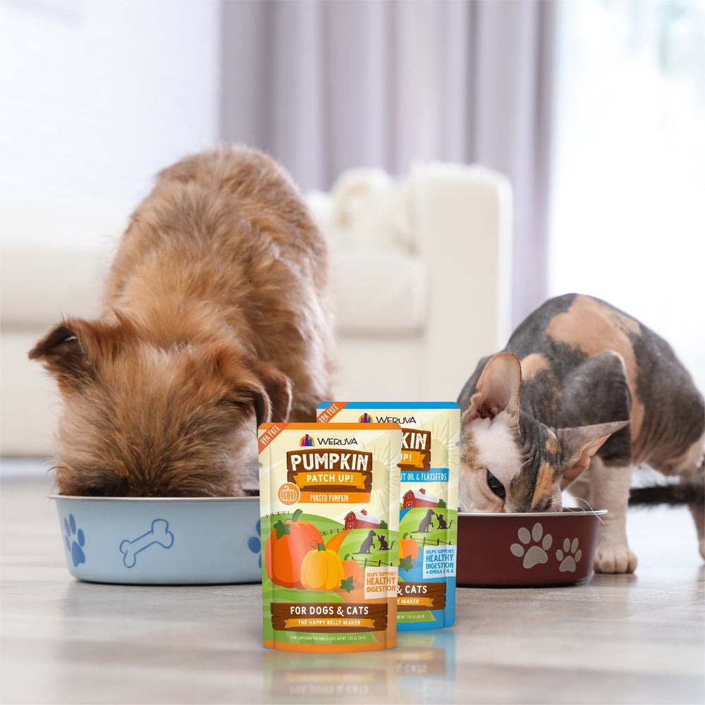 WERUVA DOG & CAT PUMPKIN 2.8OZ