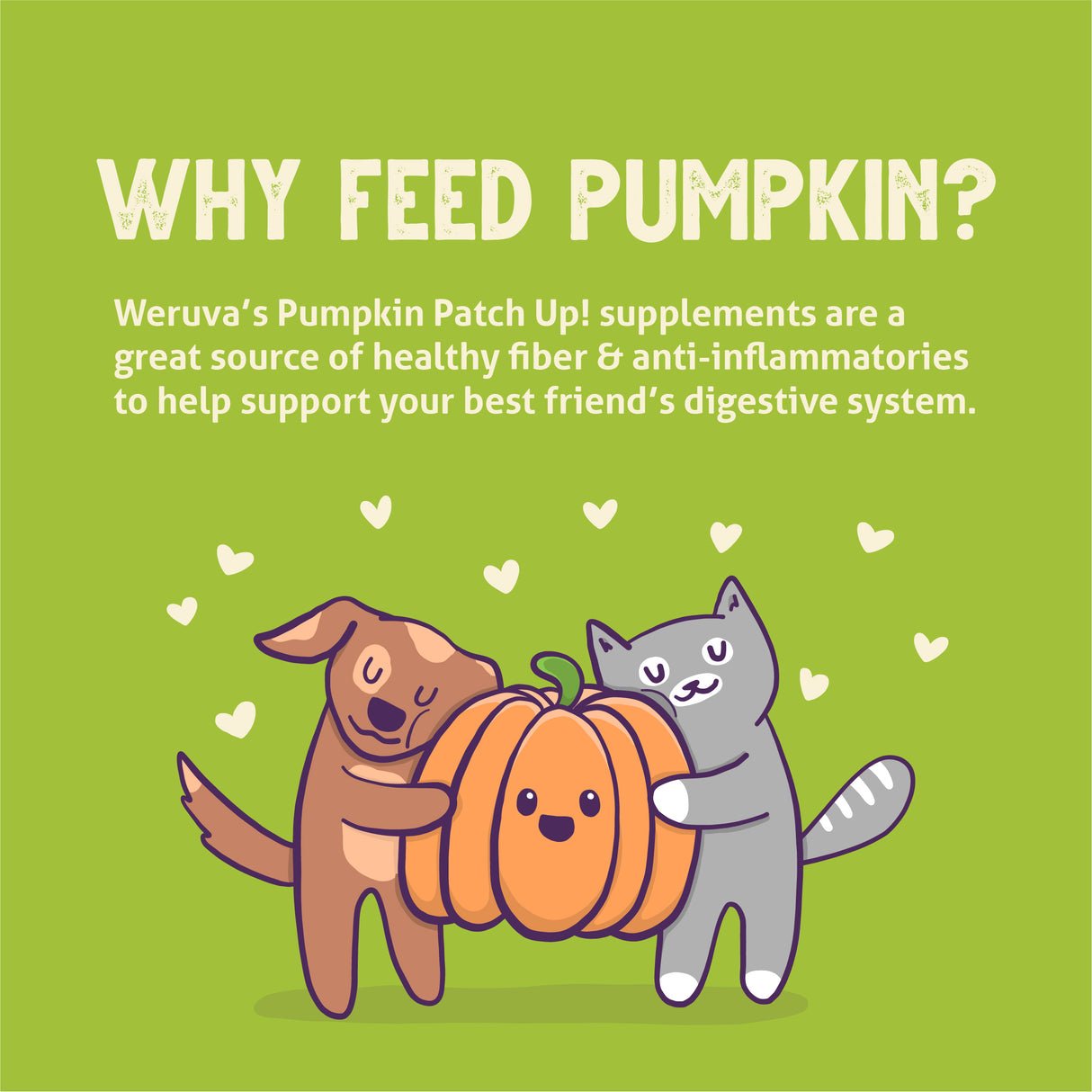 WERUVA DOG & CAT PUMPKIN 2.8OZ