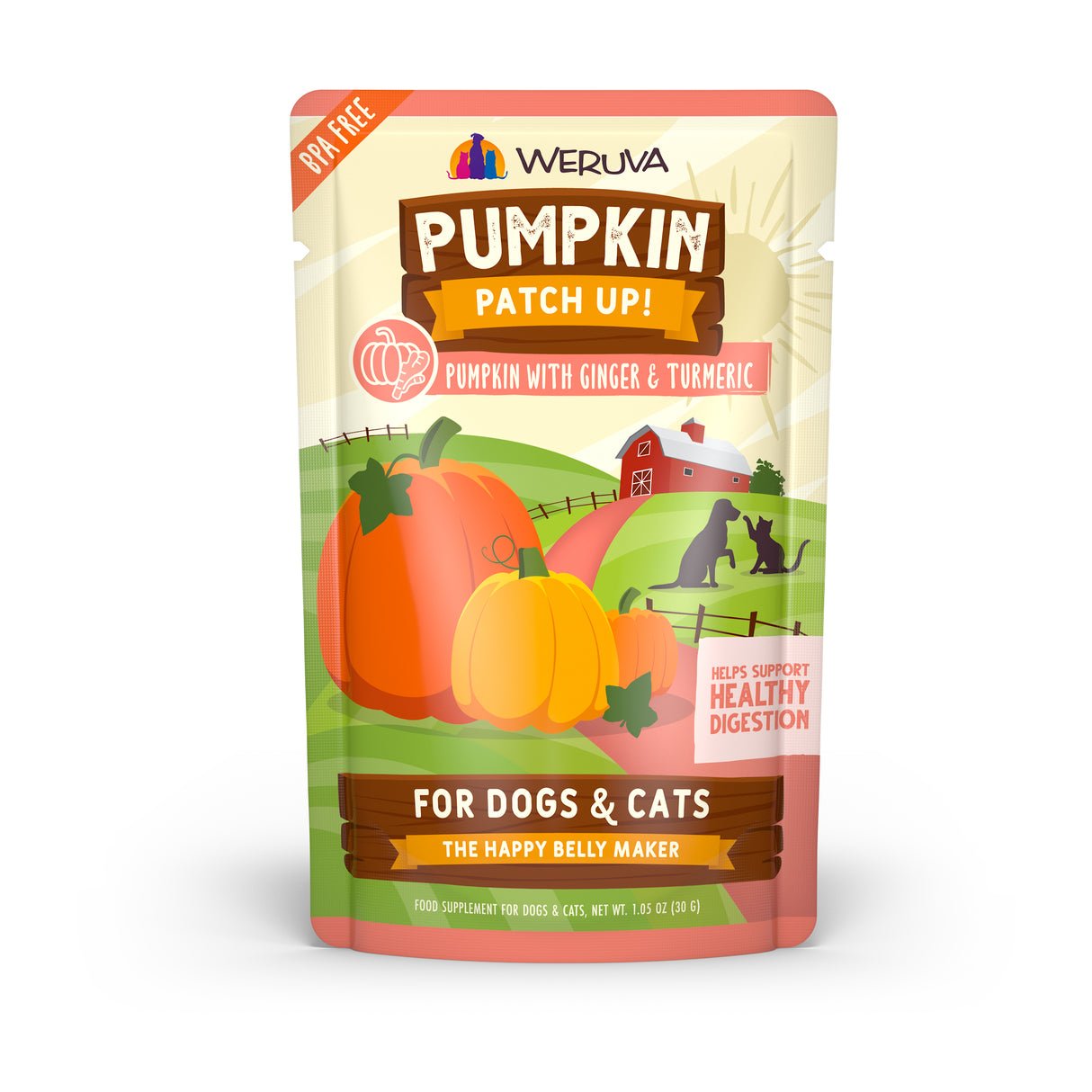 WERUVA DOG CAT PUMPKIN GINGER 2.8OZ POUCH