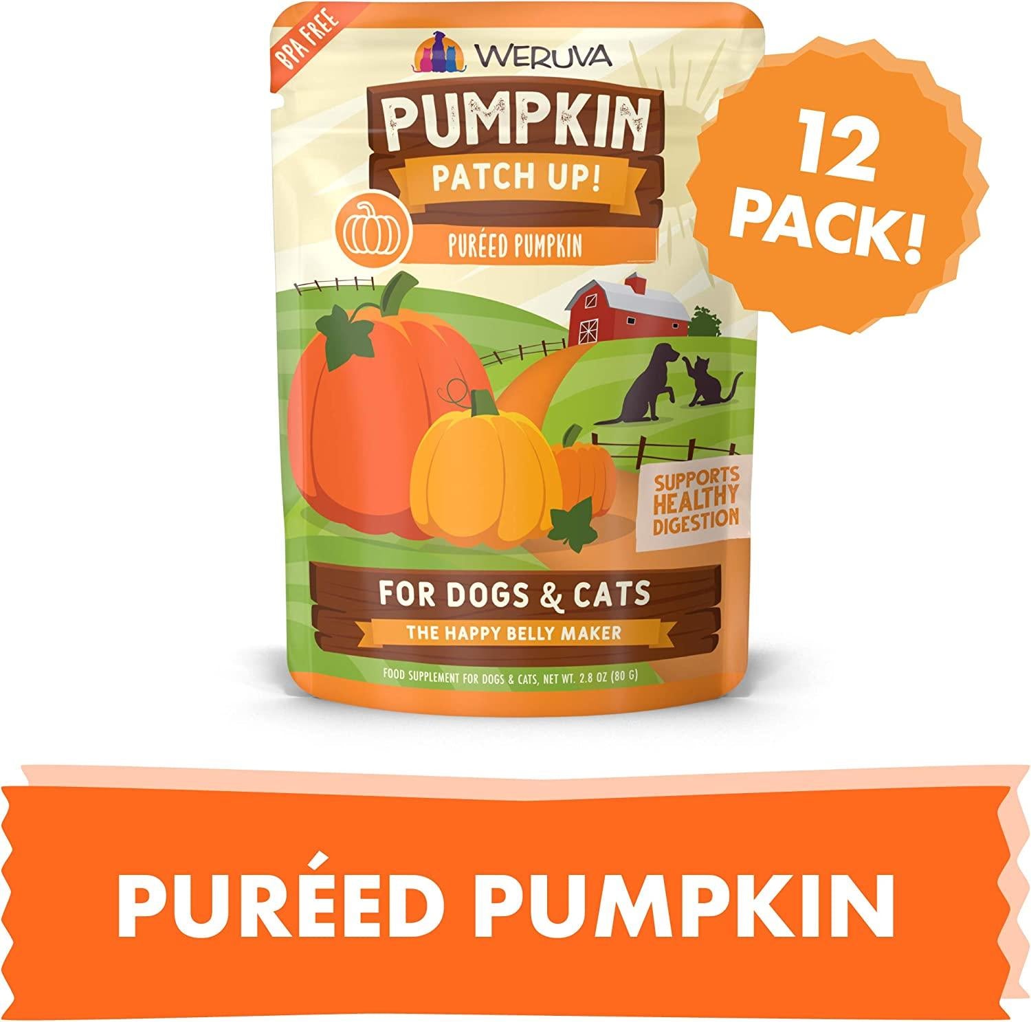 WERUVA DOG CAT PUMPKIN GINGER 2.8OZ POUCH
